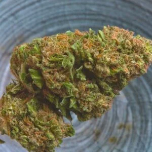 Comprar Maconha Skunk