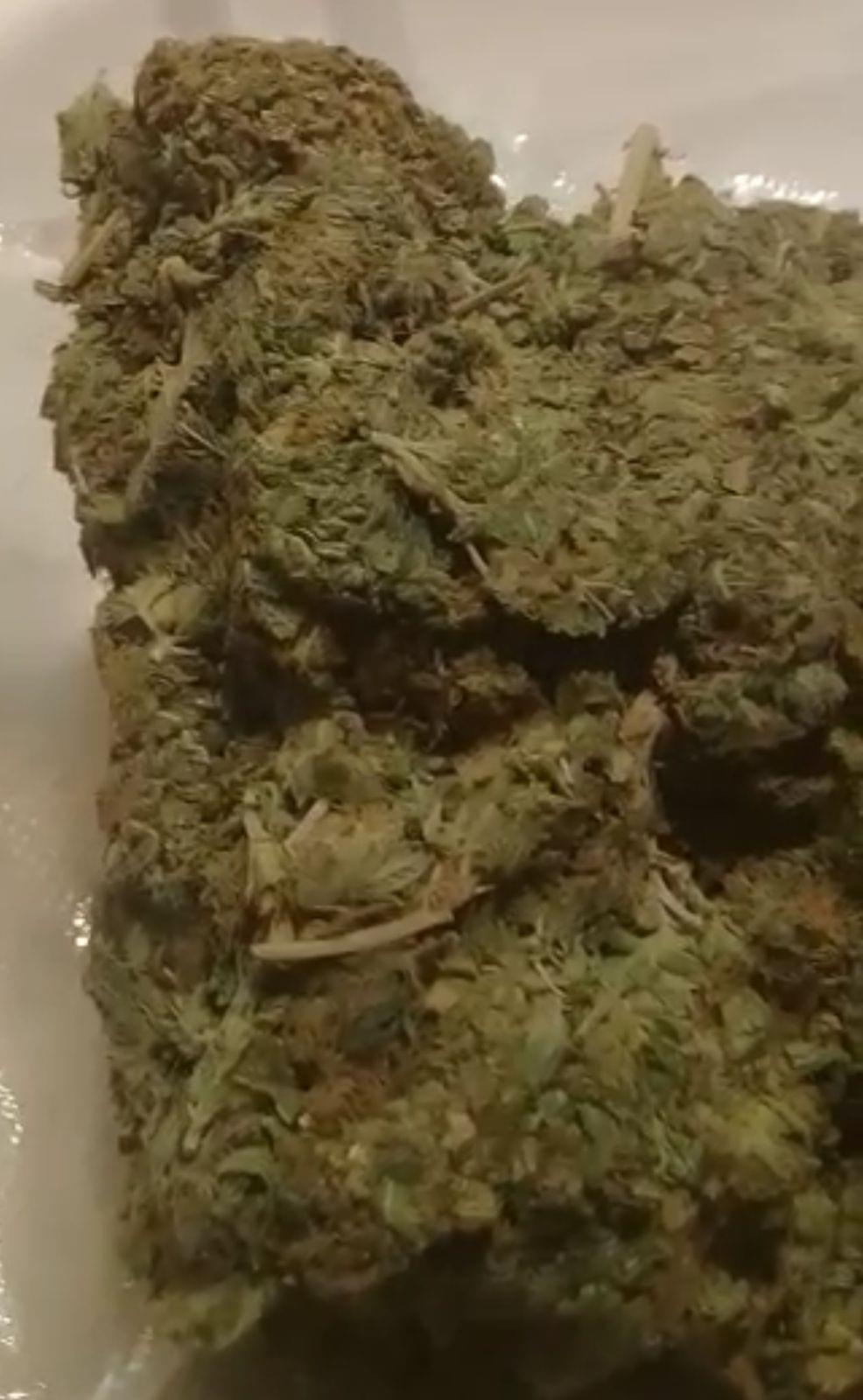 Skunk Gorilla Fruit Flor 1000G