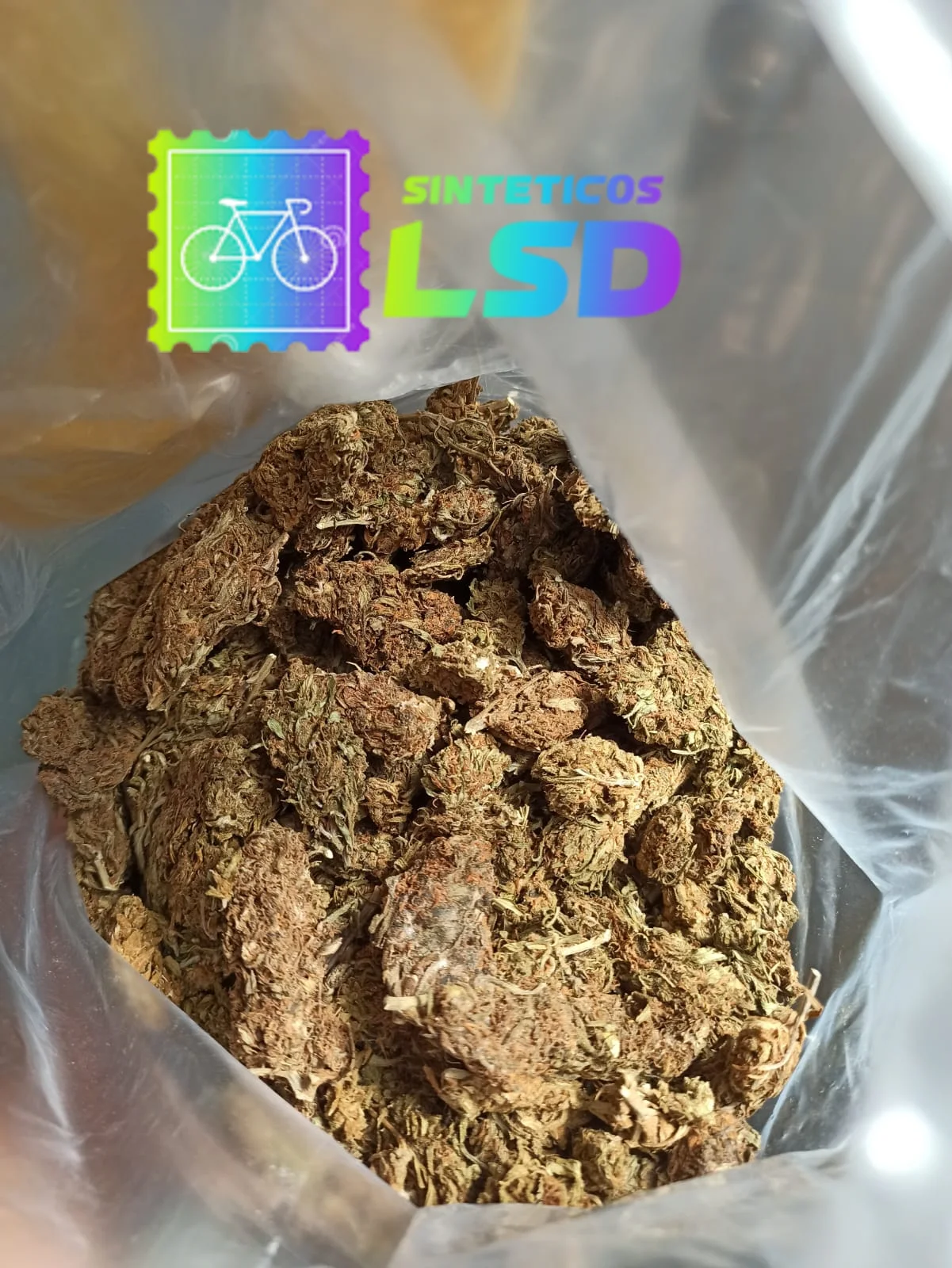 COMPRAR ERVA SKUNK