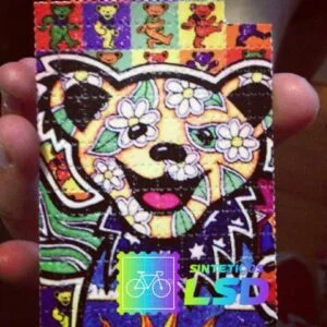 Comprar LSD Ursinho Carinhoso 150UG